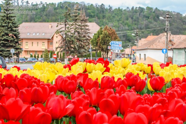 Parajd központi része